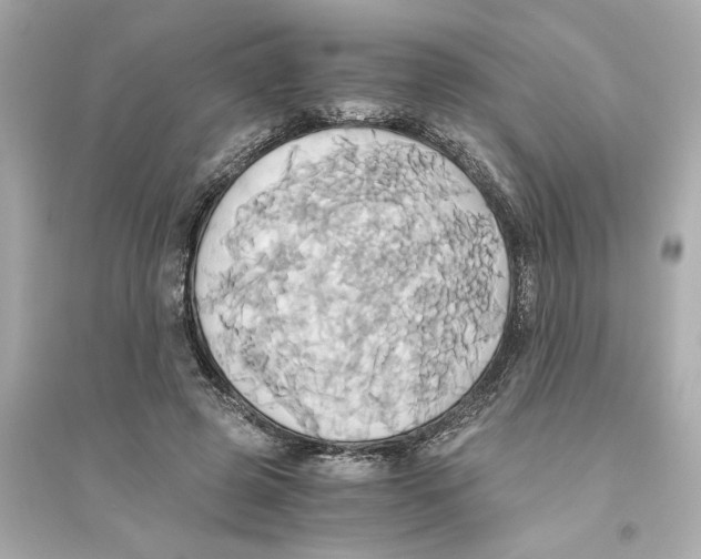 X0000093610545200711121214