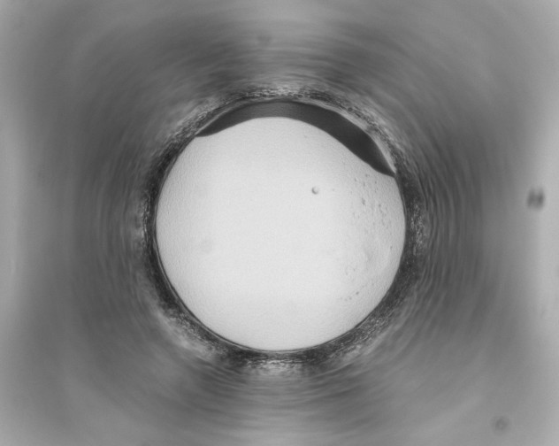 X0000093610546200711121214