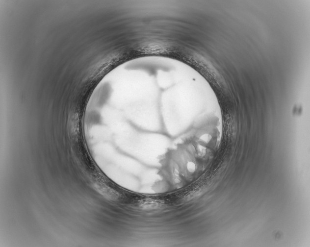 X0000093610549200711121214