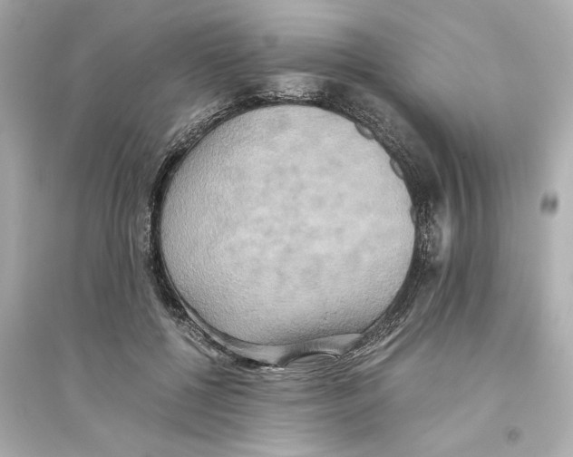 X0000093610552200711121215