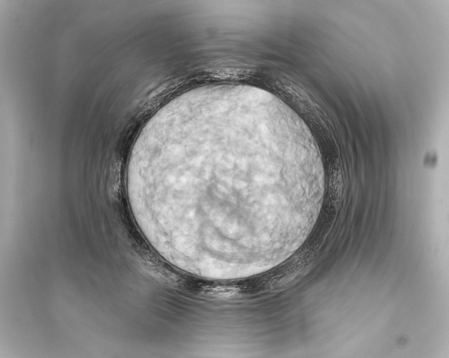 X0000093610554200711121215