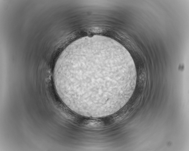 X0000093610555200711121215
