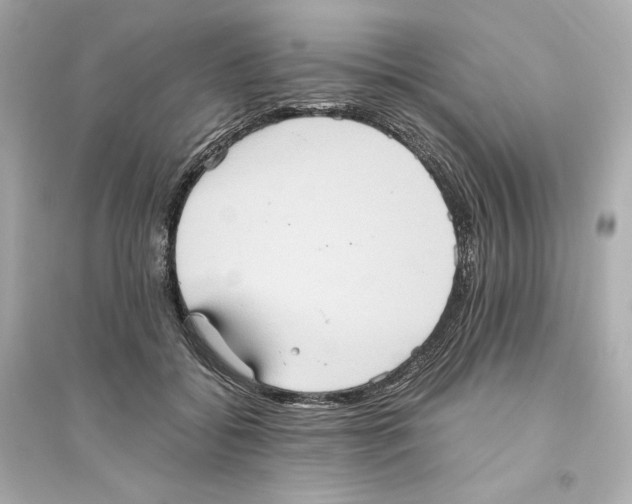 X0000093610556200711121215