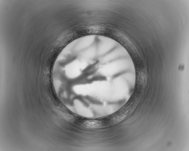 X0000093610557200711121215