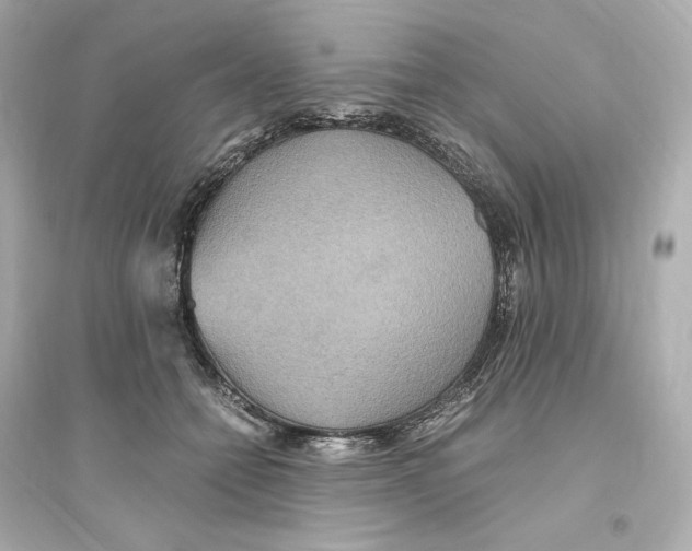 X0000093610558200711121215