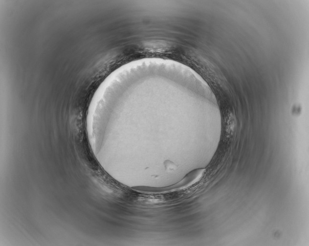 X0000093610559200711121215