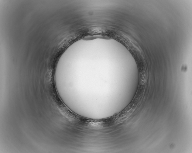 X0000093610560200711121215