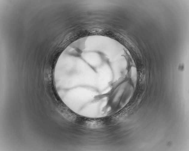 X0000093610561200711121215