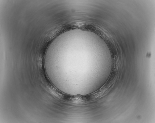 X0000093610562200711121215