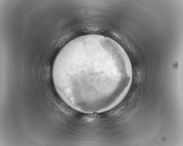 X0000093610563200711121215