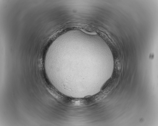 X0000093610564200711121215
