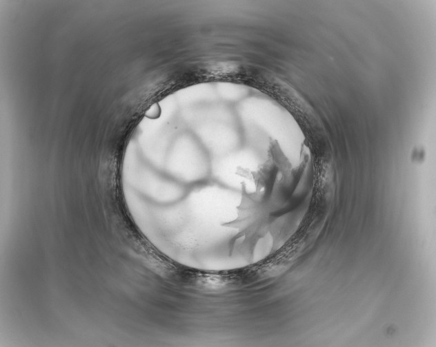 X0000093610565200711121215