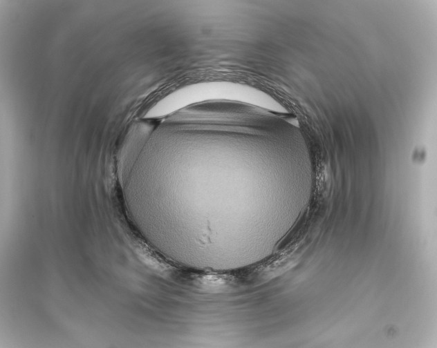 X0000093610566200711121215