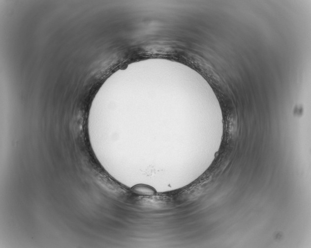 X0000093610567200711121215