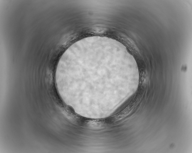 X0000093610568200711121215
