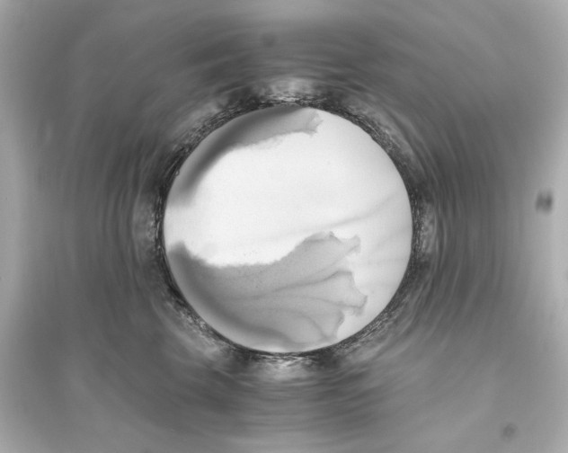 X0000093610569200711121215