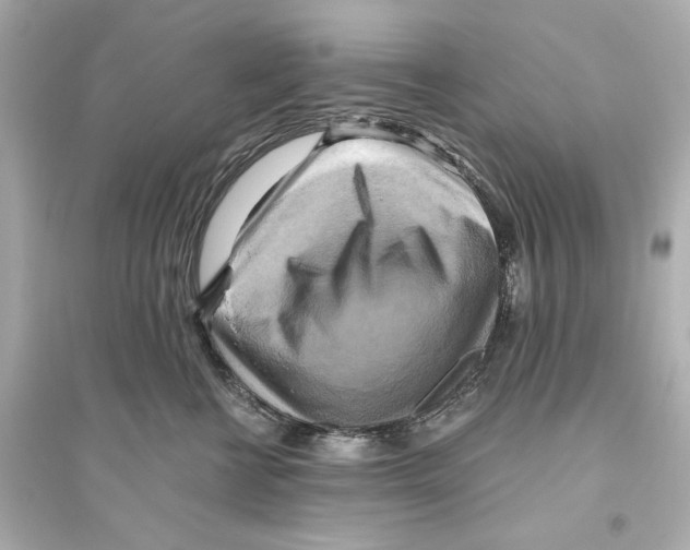 X0000093610570200711121215