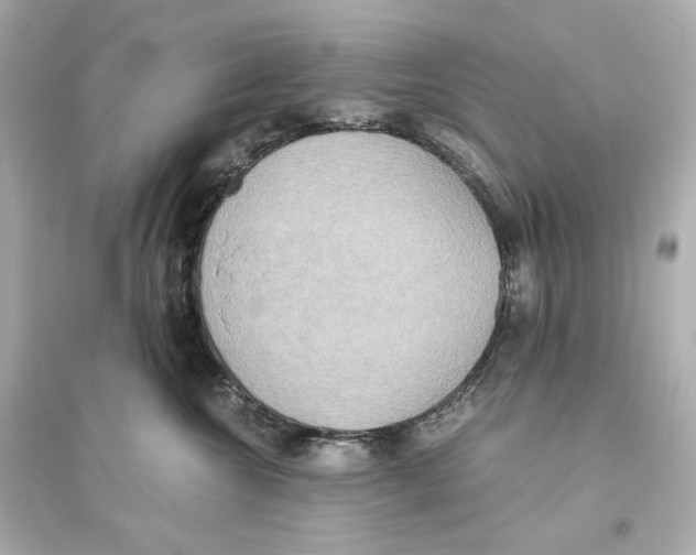 X0000093610572200711121215