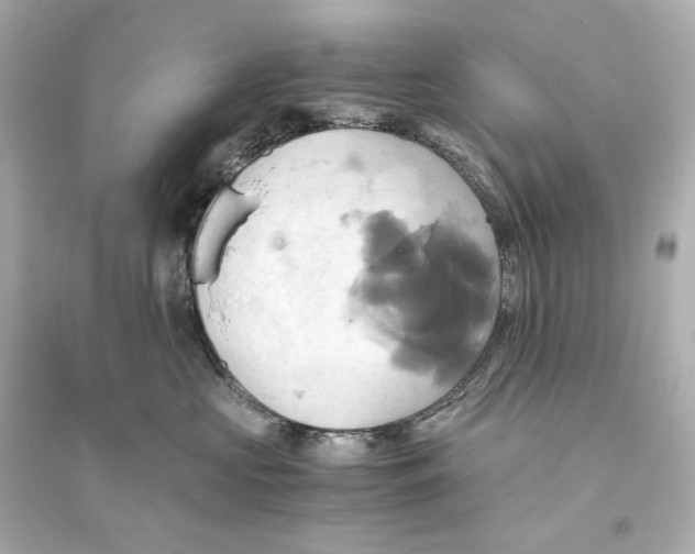 X0000093610573200711121215