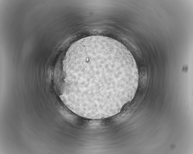 X0000093610574200711121215