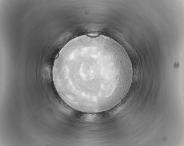 X0000093610575200711121215