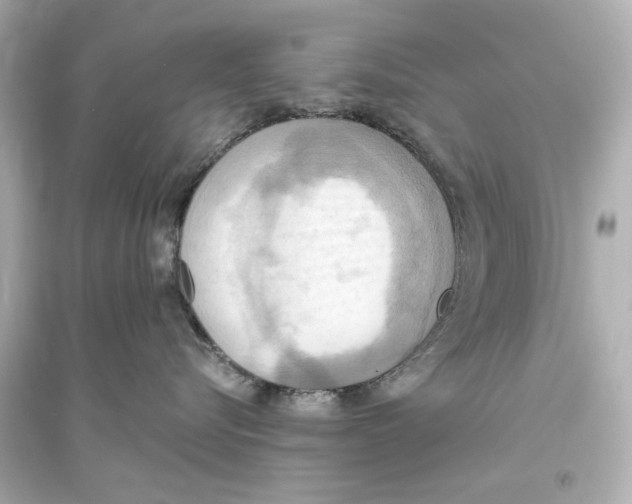 X0000093610576200711121215