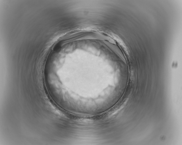 X0000093610577200711121214