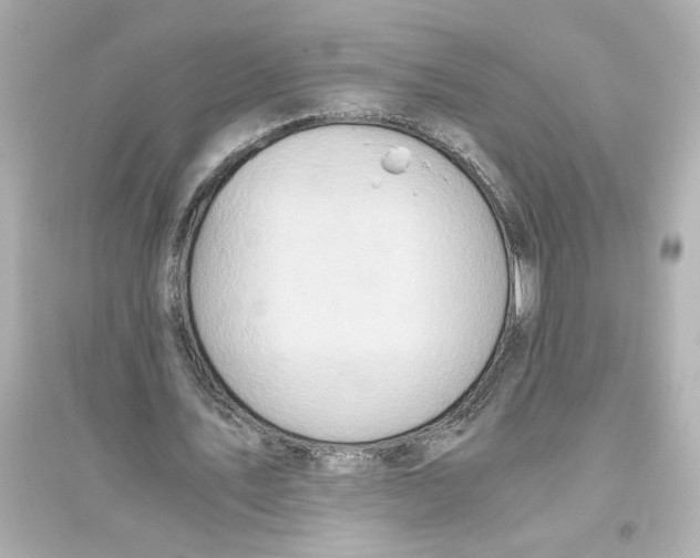X0000093610579200711121214