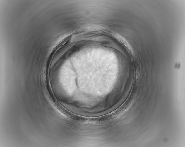 X0000093610581200711121214