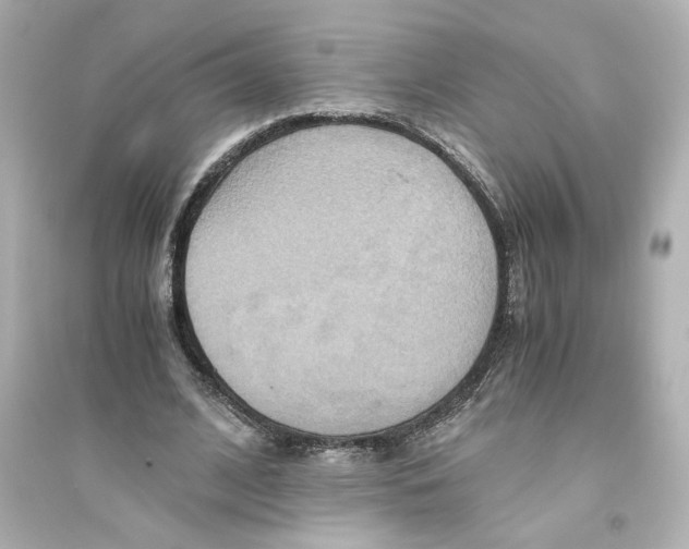X0000093610584200711121214