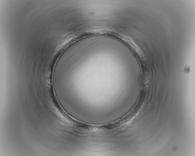 X0000093610585200711121214