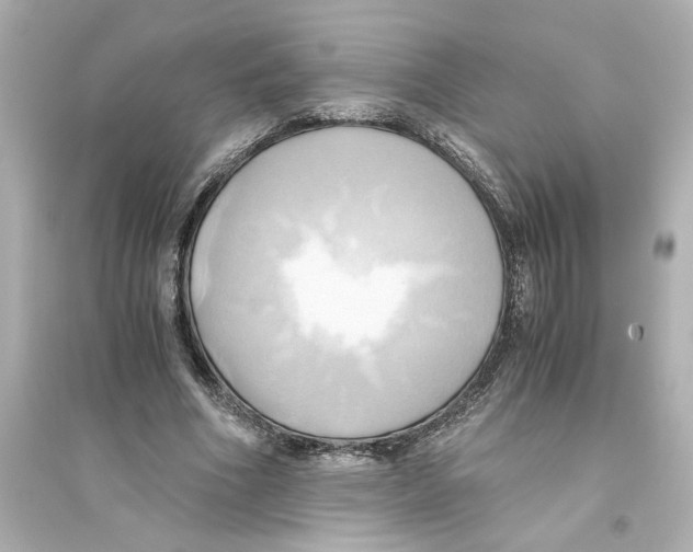 X0000093610586200711121214