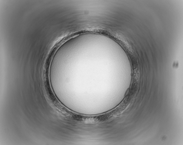 X0000093610587200711121214