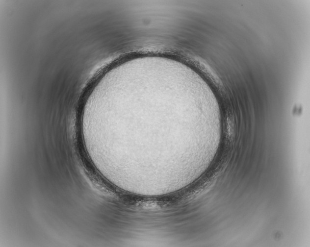 X0000093610588200711121214