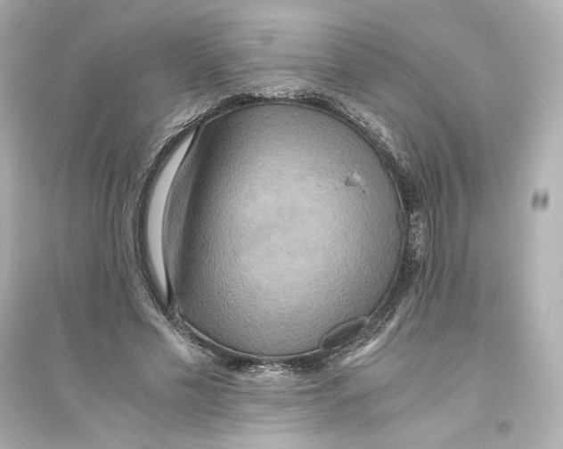 X0000093610589200711121214