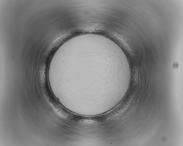 X0000093610590200711121214