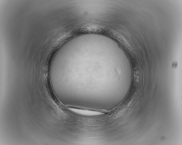 X0000093610593200711121214