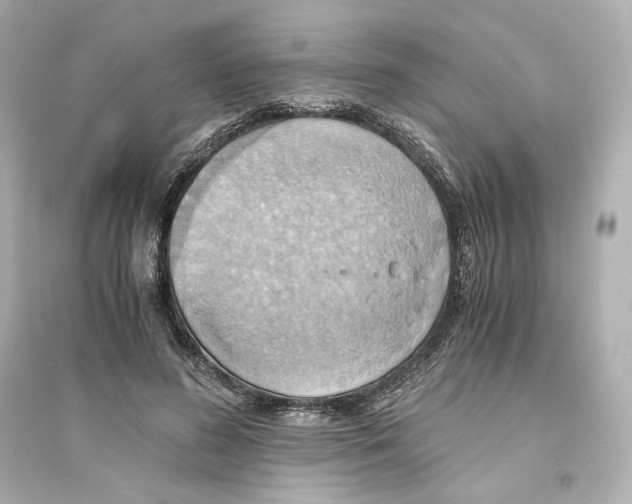 X0000093610596200711121214