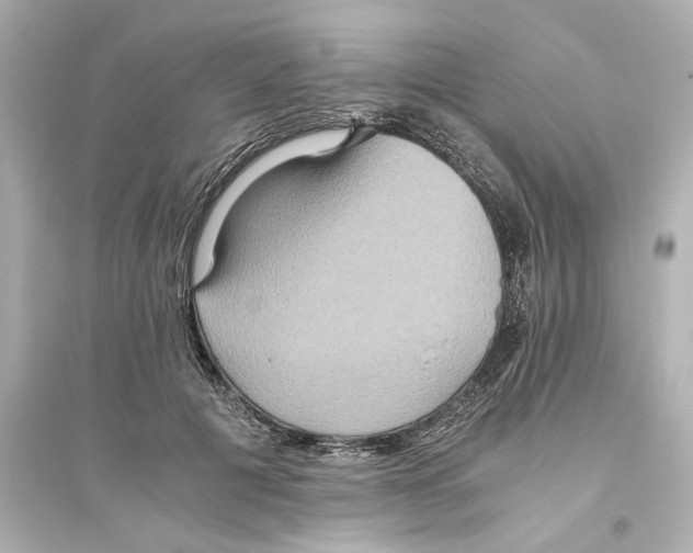 X0000093610601200711121214