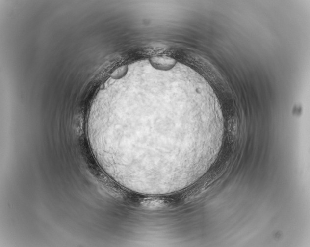 X0000093610602200711121214