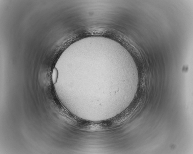 X0000093610604200711121214
