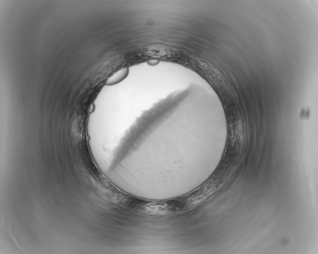 X0000093610606200711121214