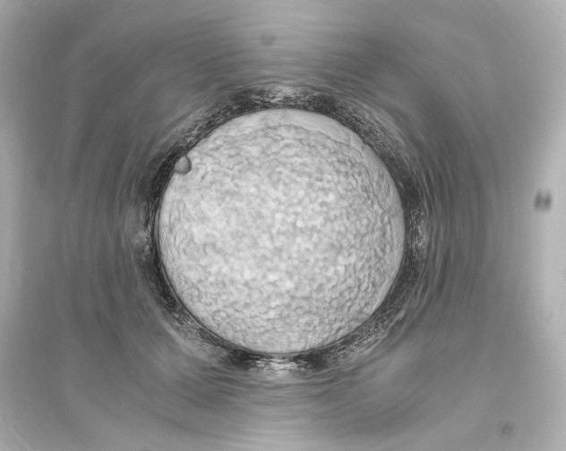 X0000093610607200711121214
