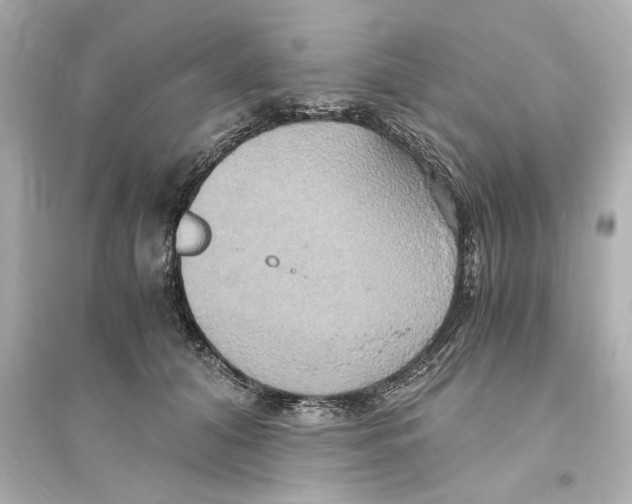 X0000093610608200711121214