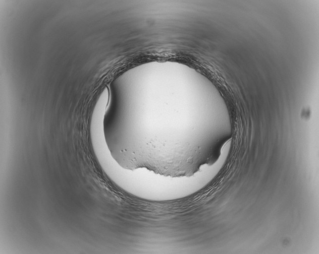 X0000093610609200711121214