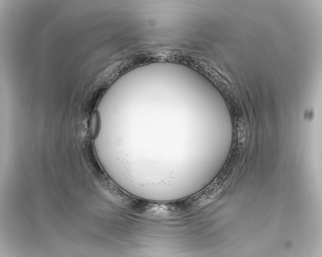 X0000093610611200711121214