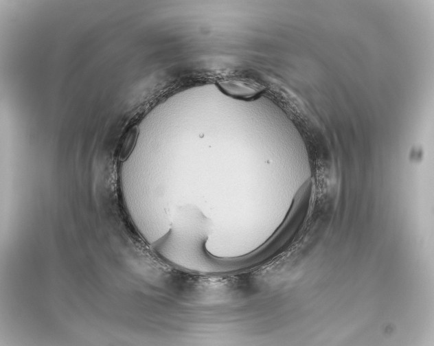 X0000093610613200711121214