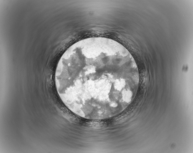 X0000093610615200711121214