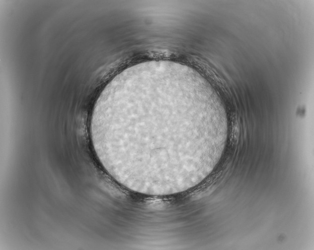 X0000093610616200711121214