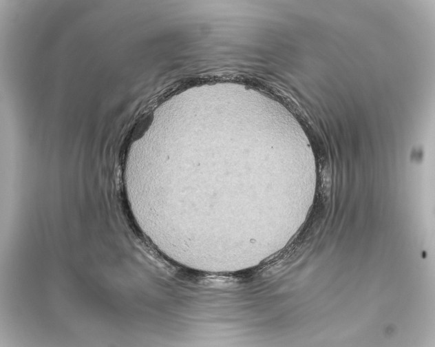 X0000093610617200711121214